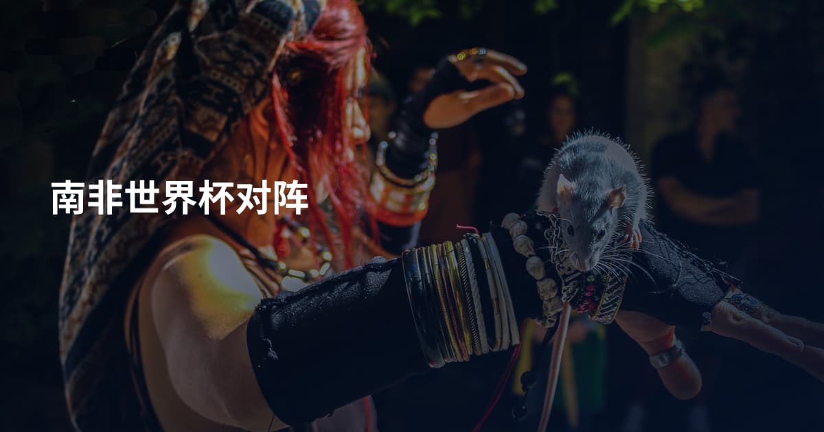南非世界杯对阵