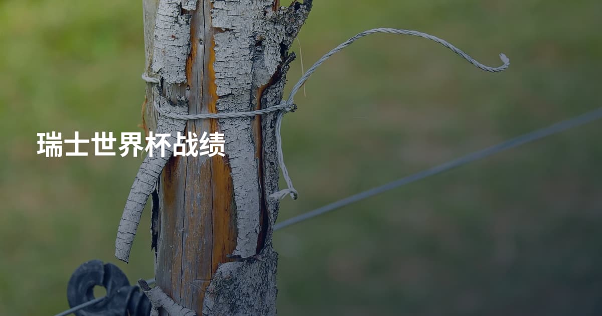 瑞士世界杯战绩