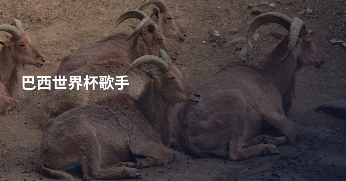 巴西世界杯歌手