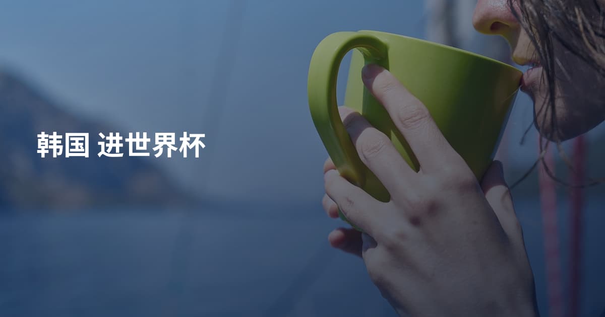 韩国 进世界杯