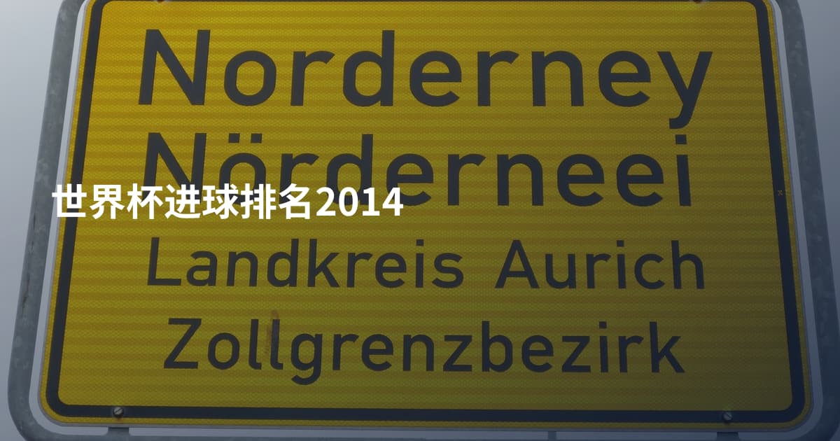 世界杯进球排名2014