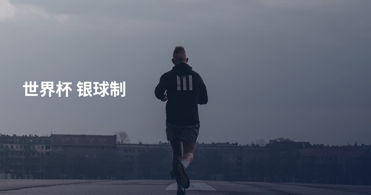 世界杯 银球制