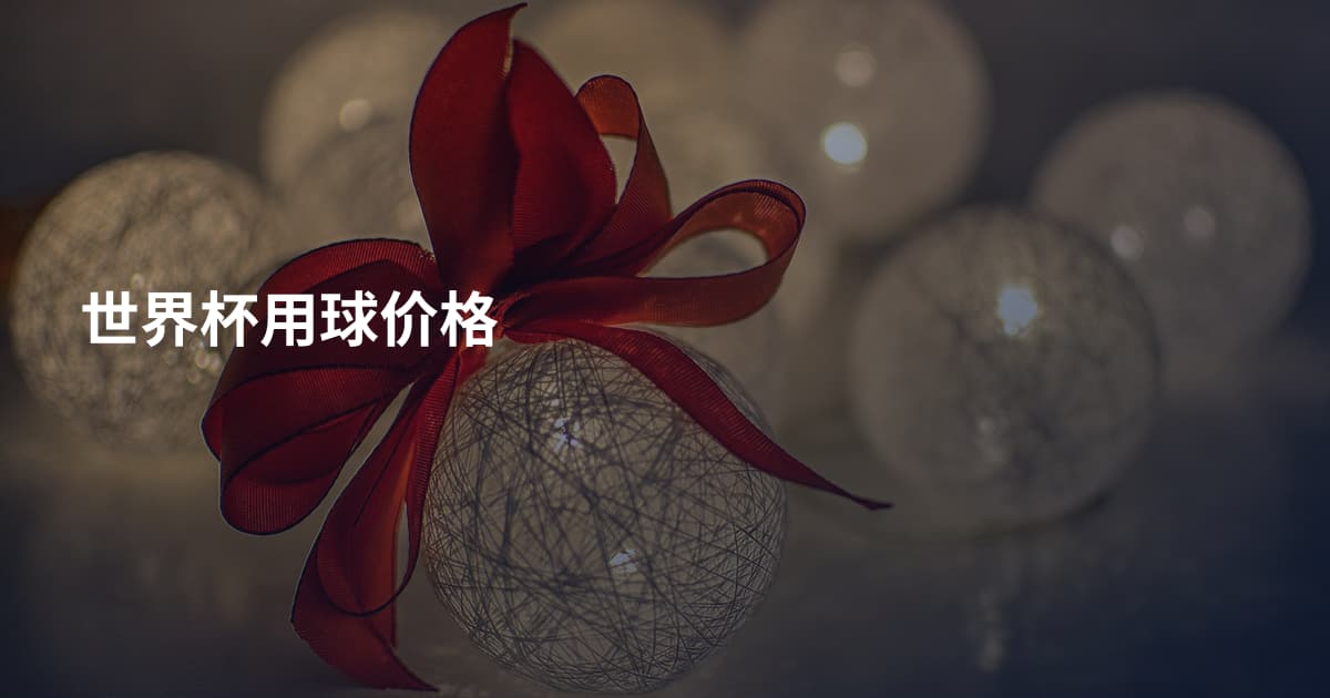 世界杯用球价格