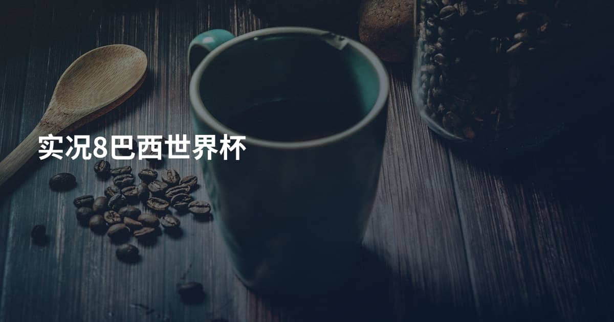 实况8巴西世界杯