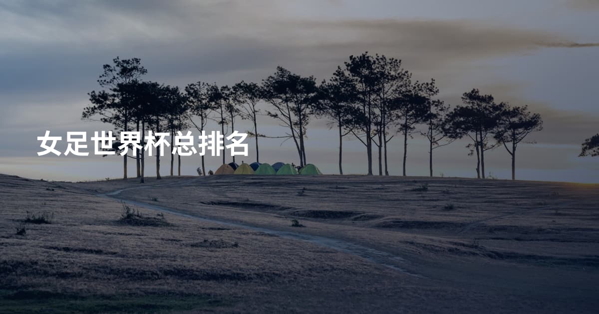 女足世界杯总排名