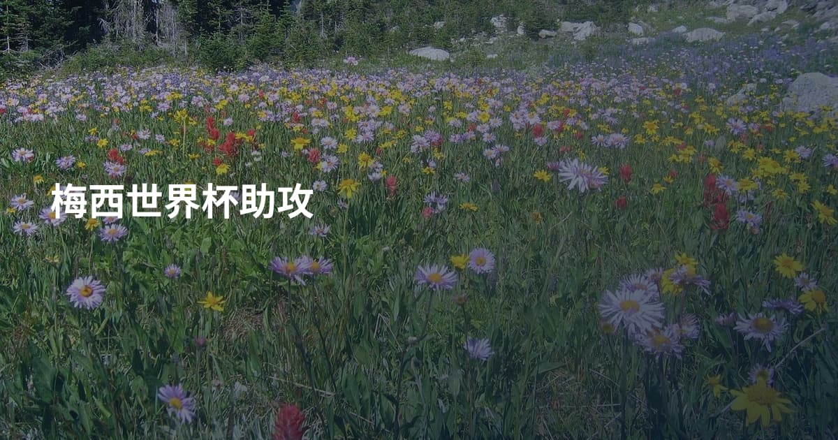 梅西世界杯助攻