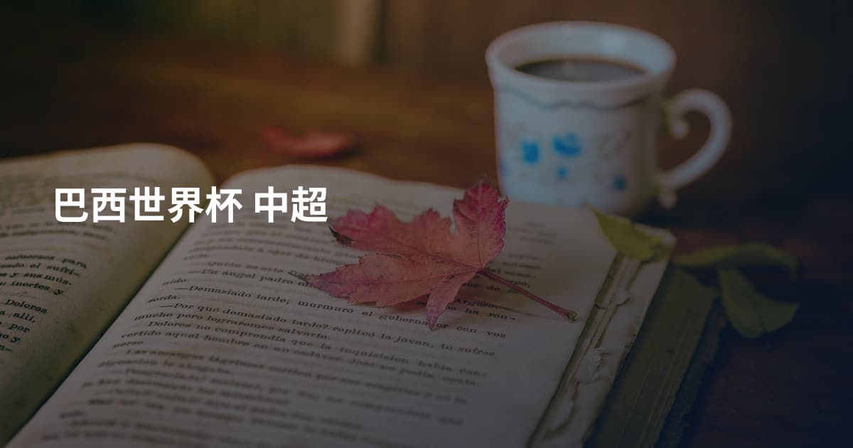 巴西世界杯 中超