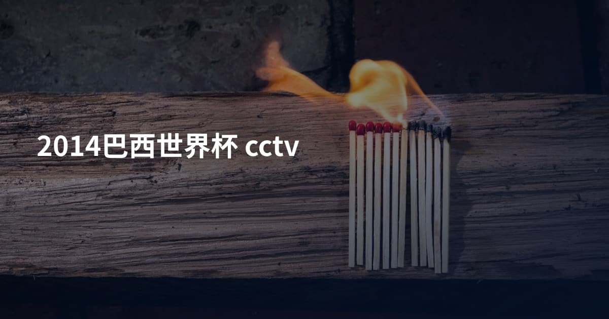 2014巴西世界杯 cctv