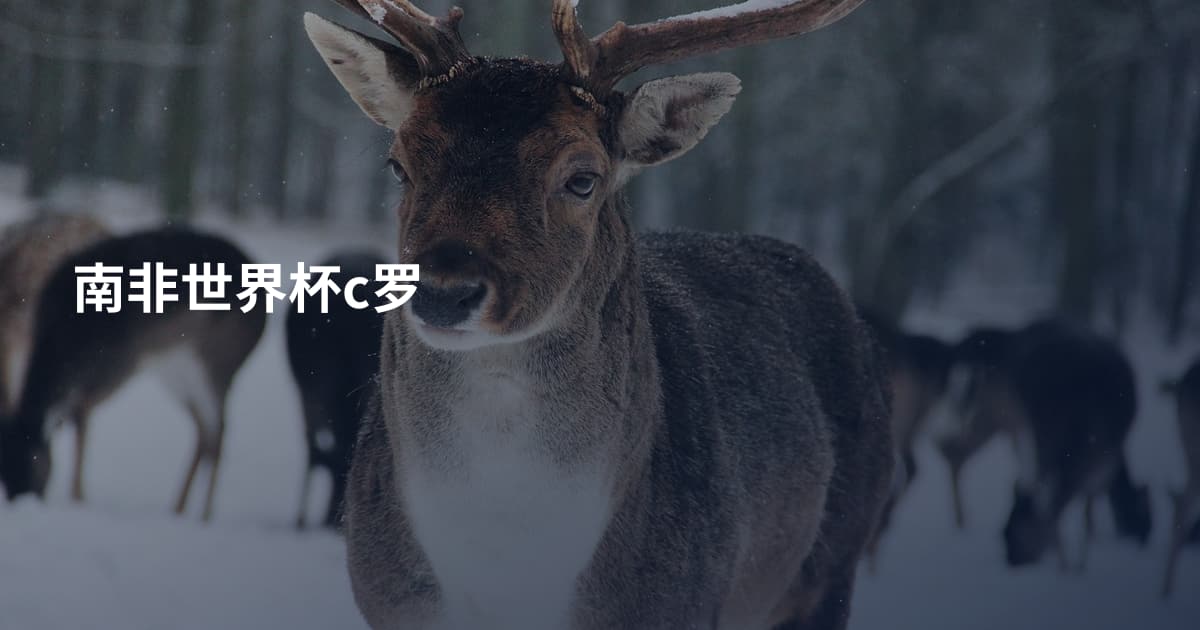 南非世界杯c罗