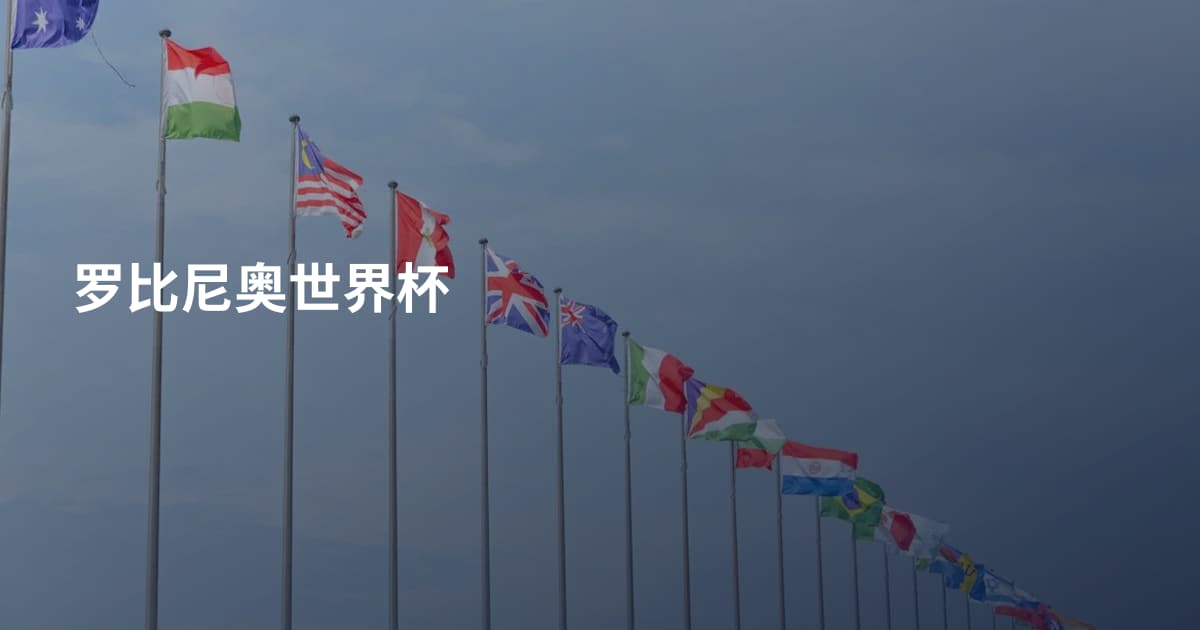 罗比尼奥世界杯