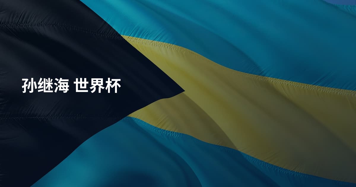 孙继海 世界杯