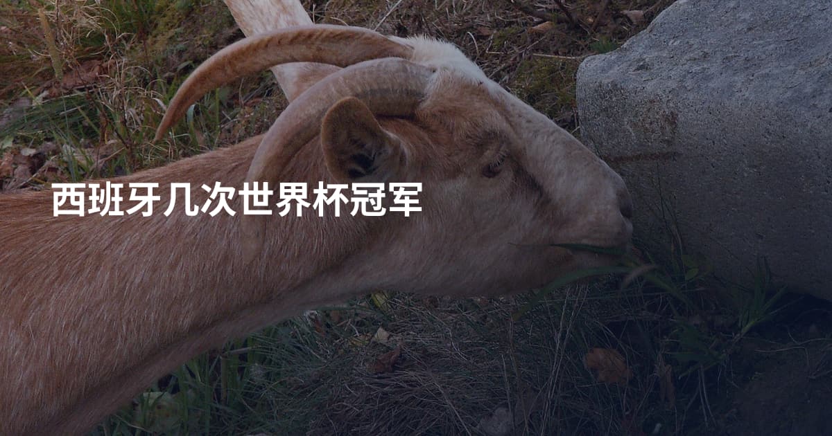 西班牙几次世界杯冠军