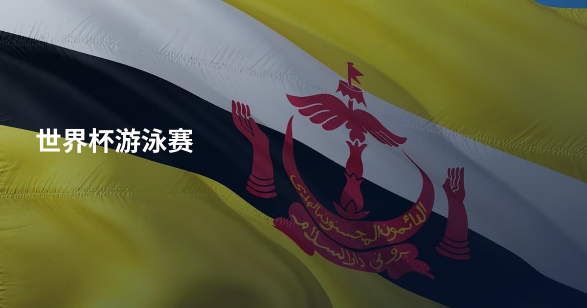 世界杯游泳赛