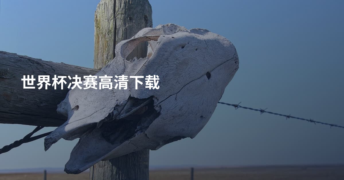 世界杯决赛高清下载