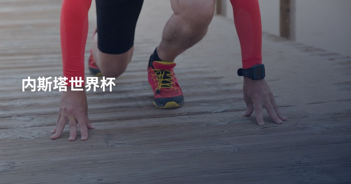 内斯塔世界杯