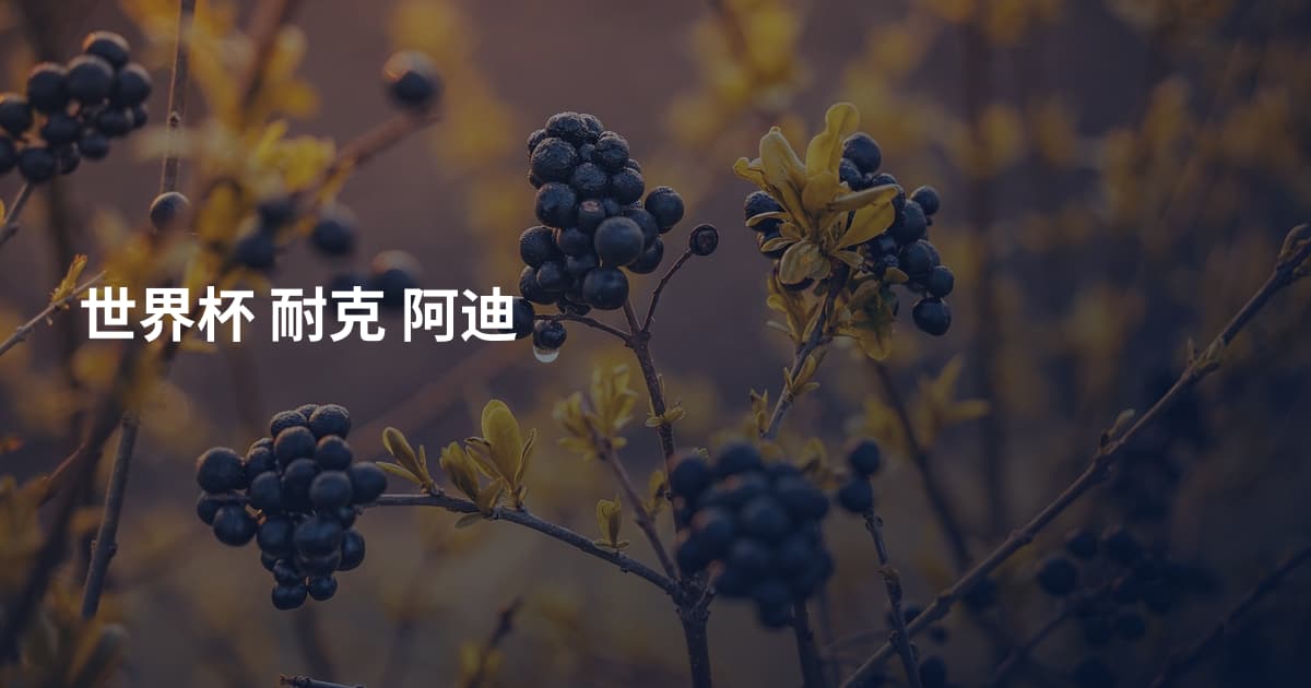 世界杯 耐克 阿迪