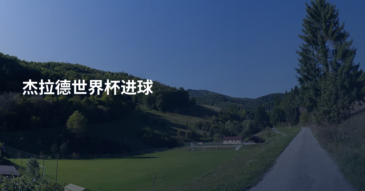 杰拉德世界杯进球