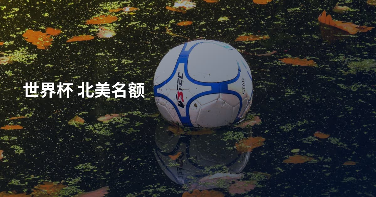 世界杯 北美名额