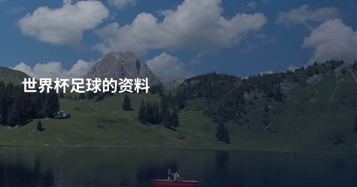 世界杯足球的资料