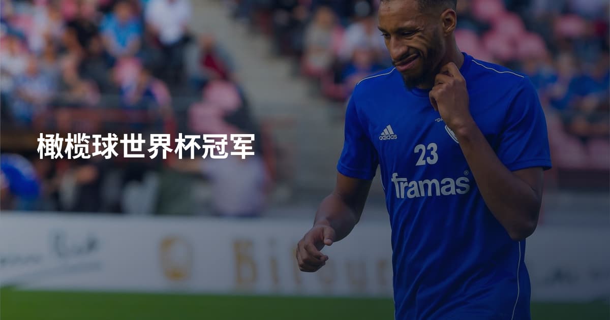 橄榄球世界杯冠军