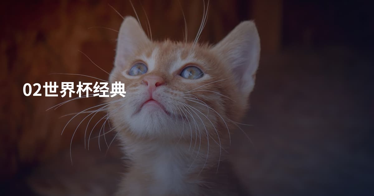 02世界杯经典