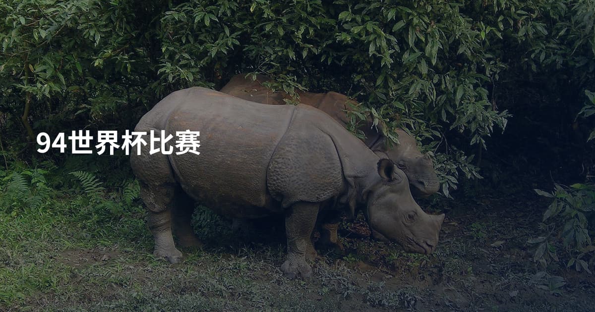 94世界杯比赛
