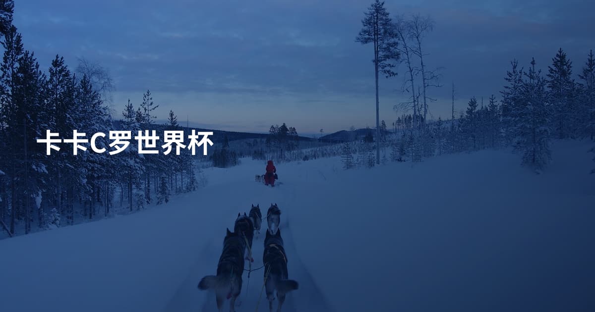 卡卡C罗世界杯