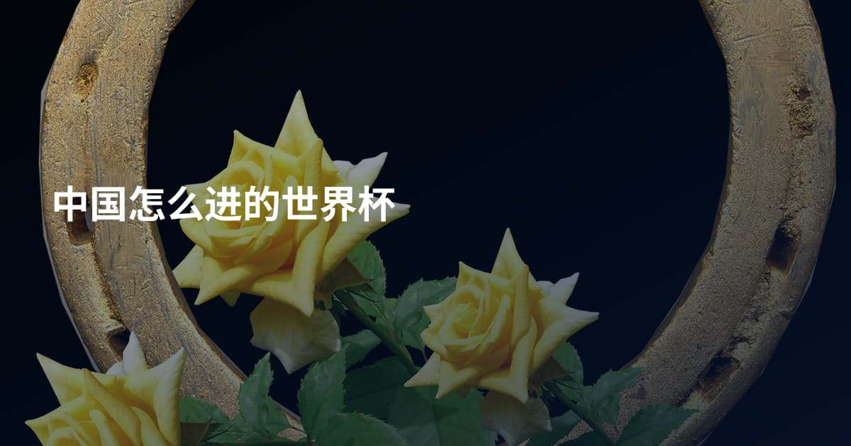 中国怎么进的世界杯