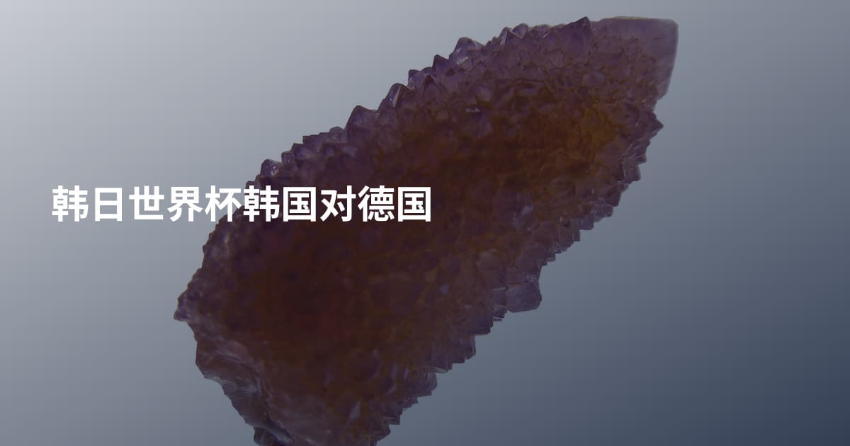 韩日世界杯韩国对德国