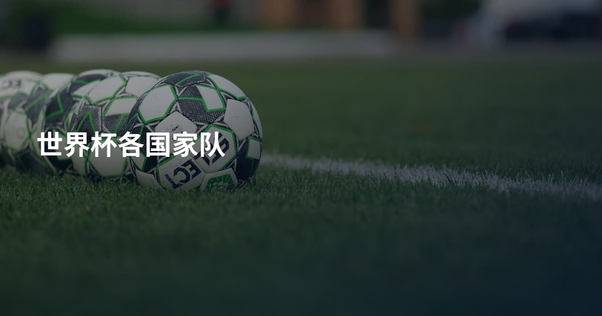 世界杯各国家队