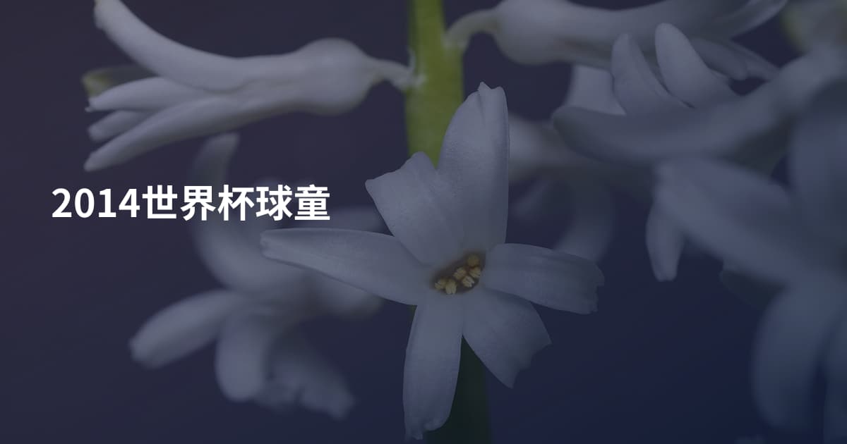 2014世界杯球童