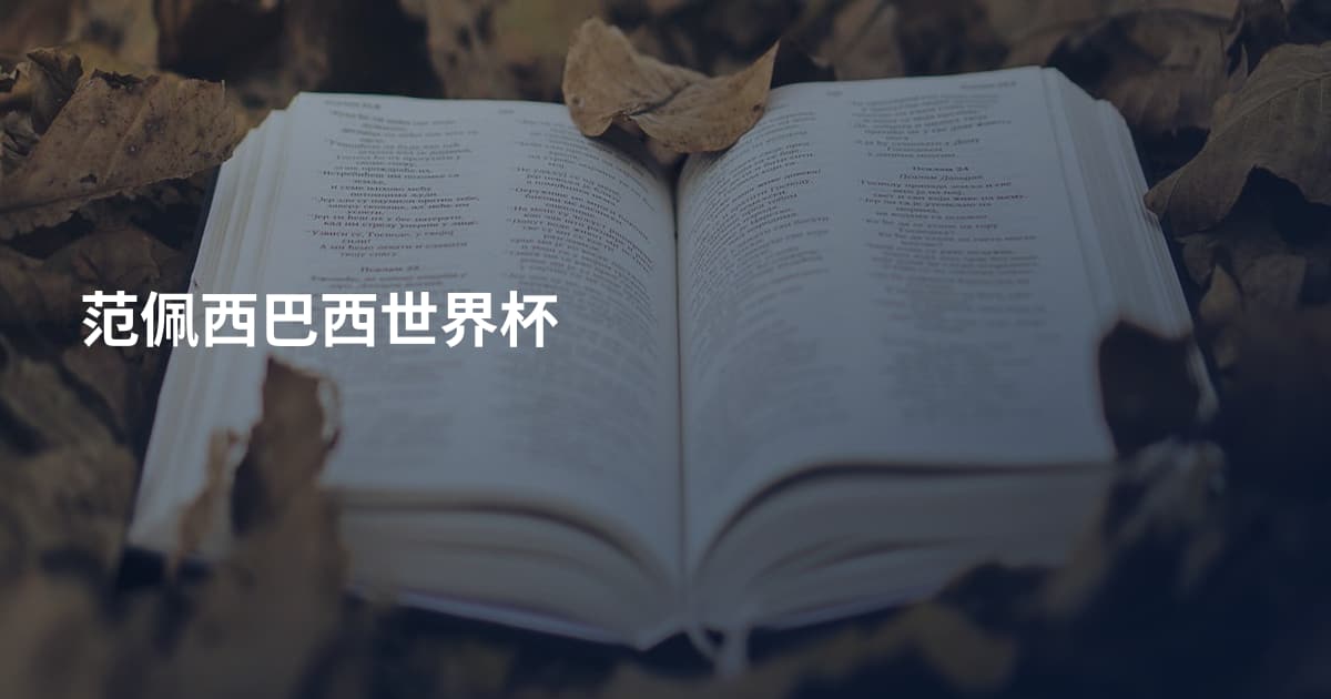 范佩西巴西世界杯