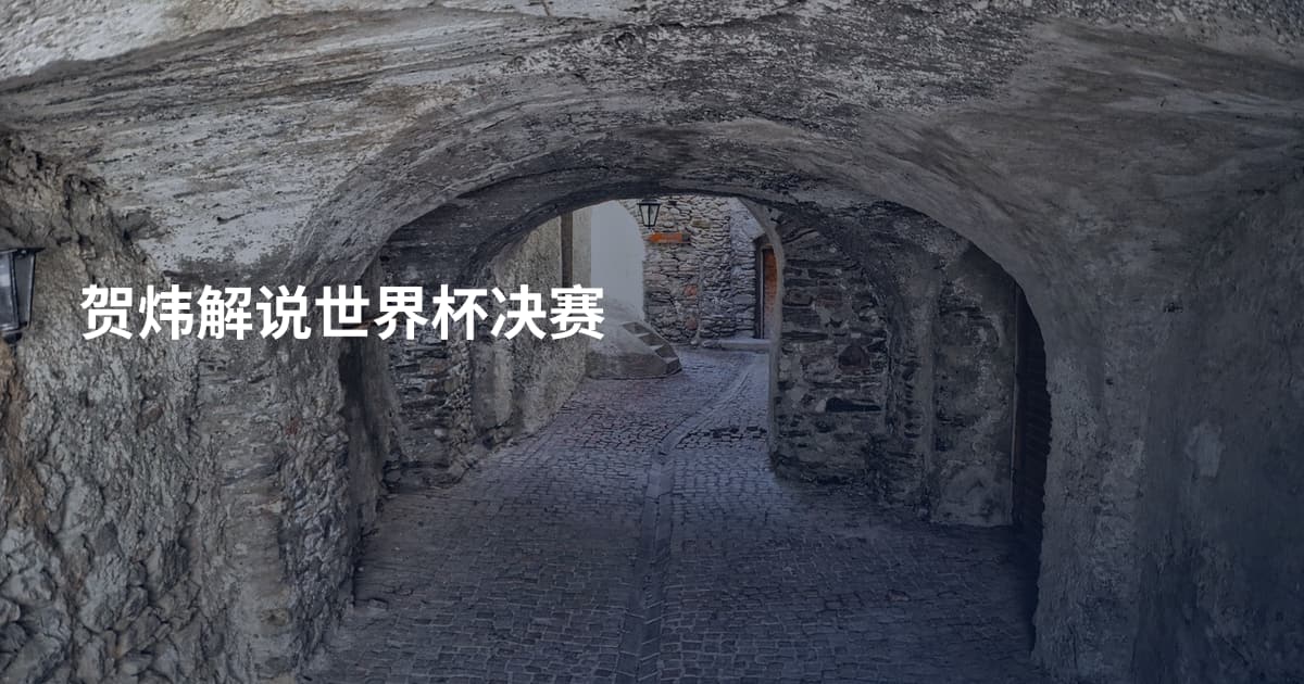 贺炜解说世界杯决赛