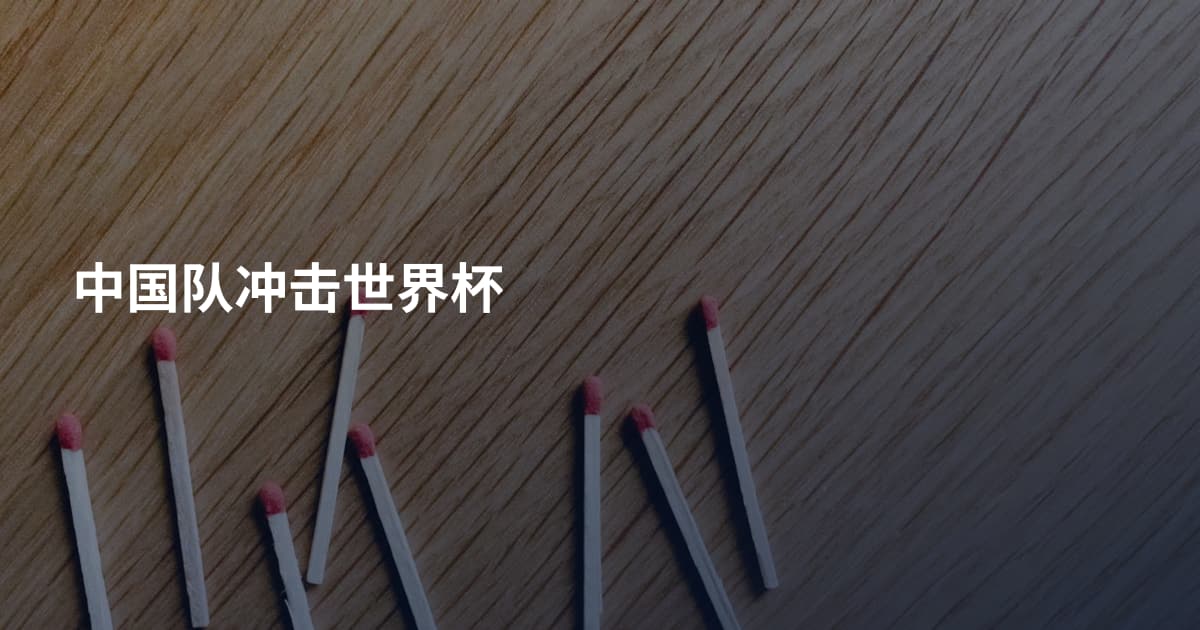 中国队冲击世界杯