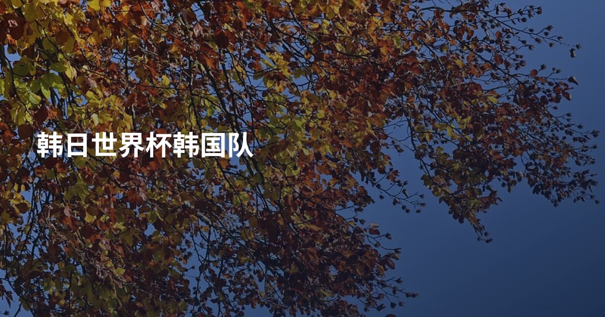 韩日世界杯韩国队