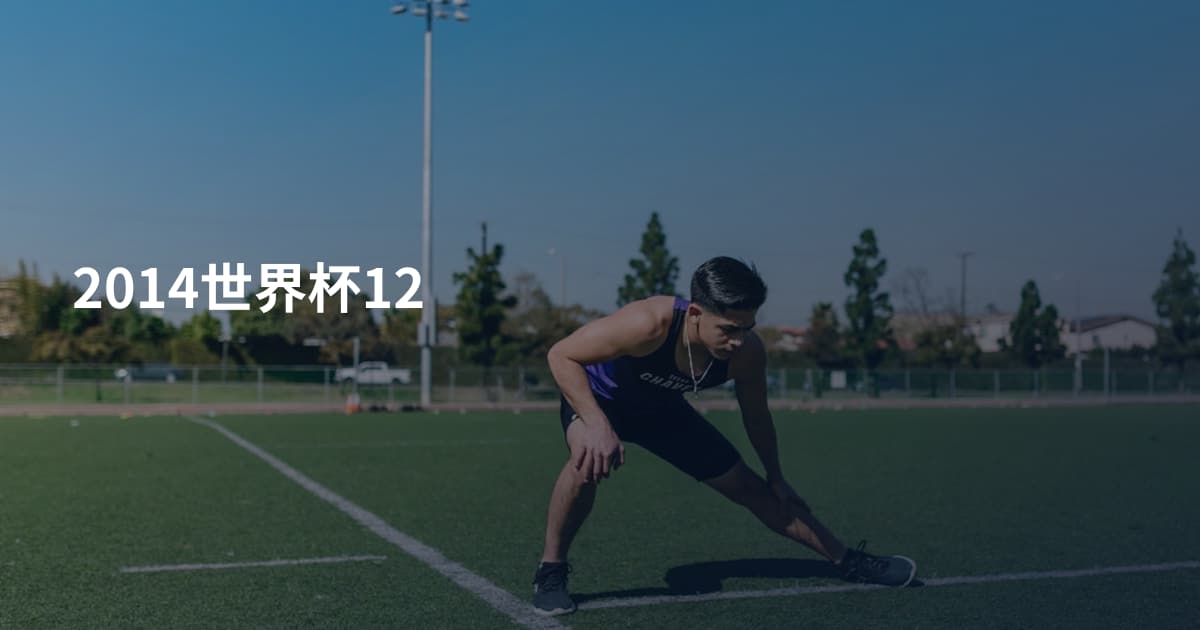 2014世界杯12