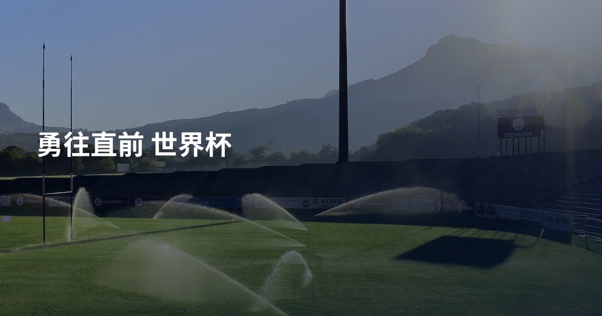 勇往直前 世界杯