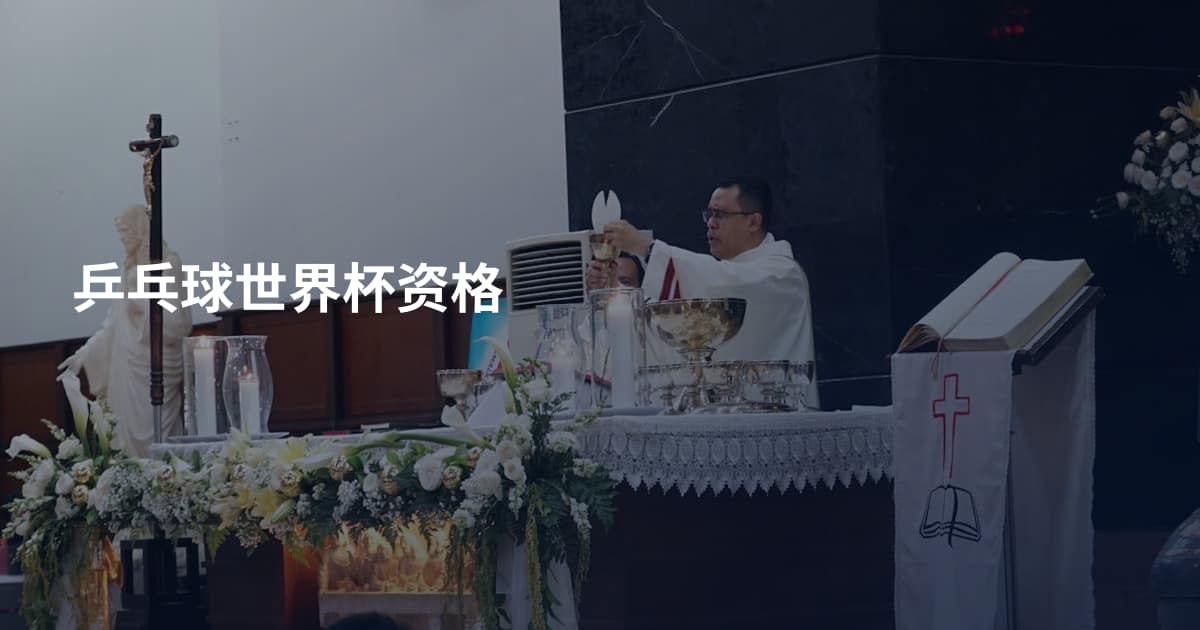 乒乓球世界杯资格