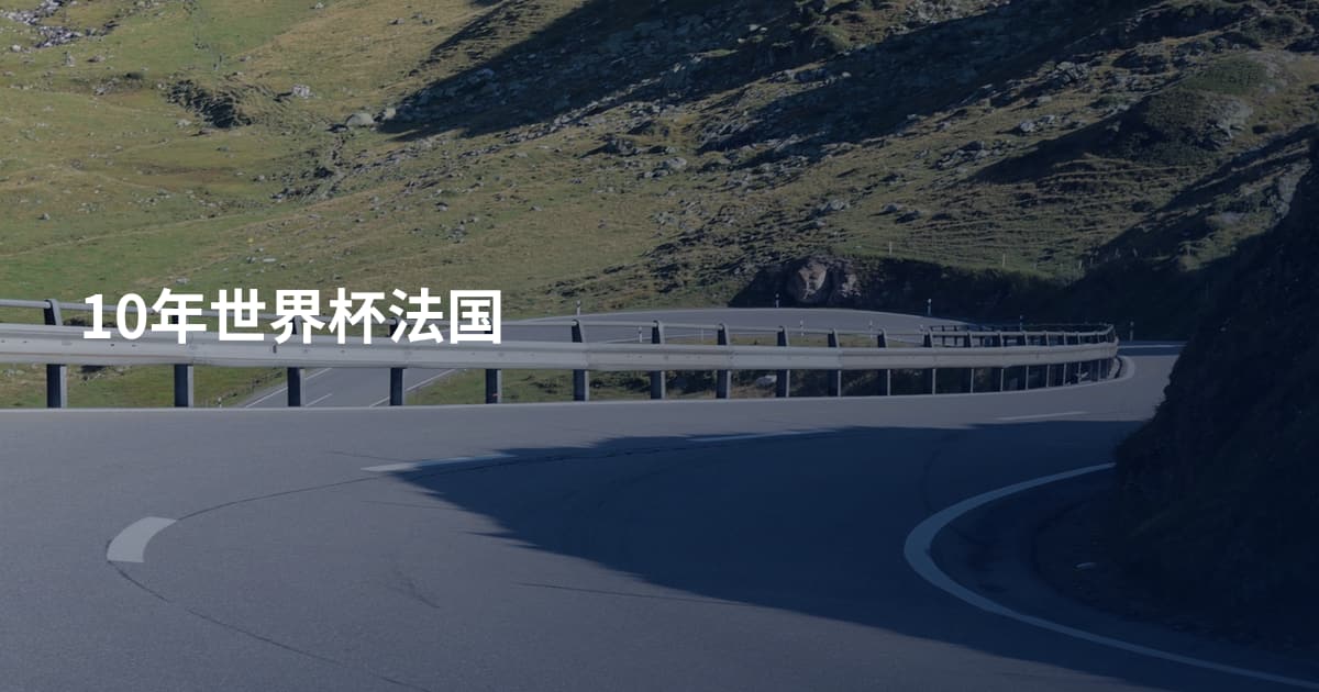 10年世界杯法国