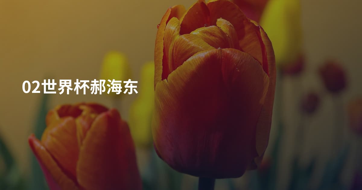 02世界杯郝海东