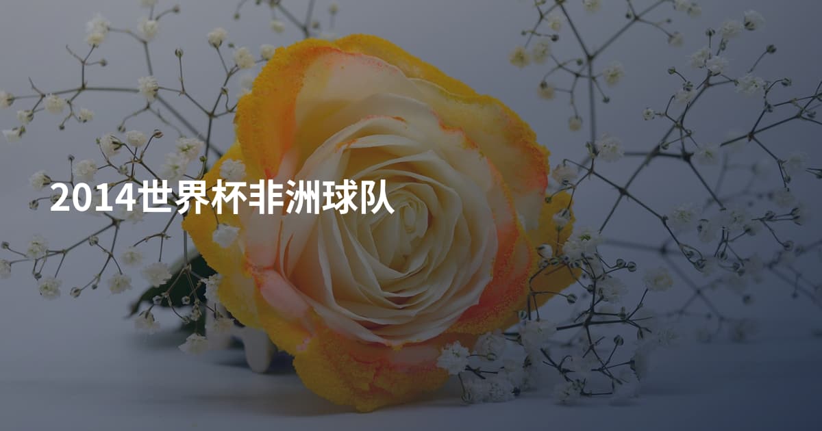 2014世界杯非洲球队