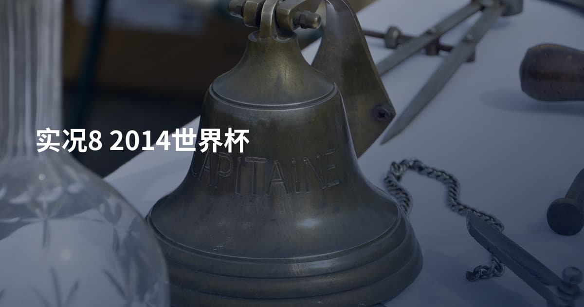 实况8 2014世界杯