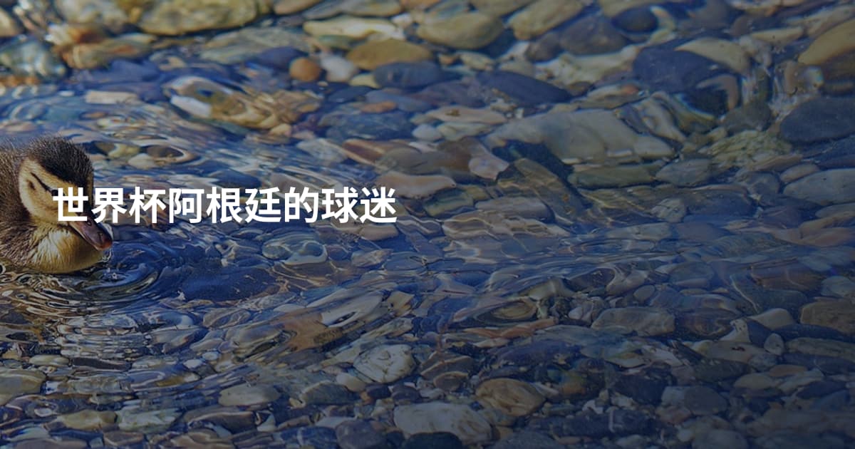 世界杯阿根廷的球迷
