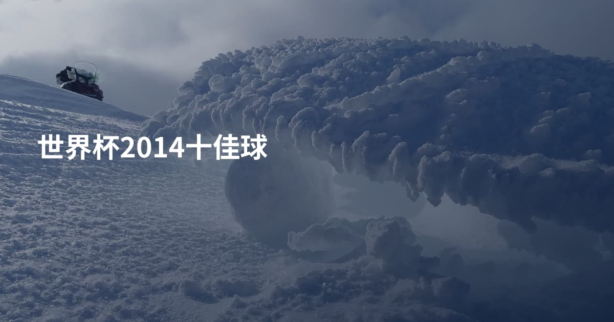 世界杯2014十佳球