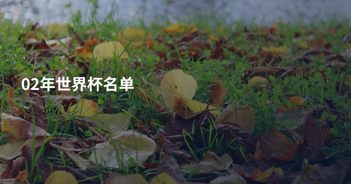 02年世界杯名单