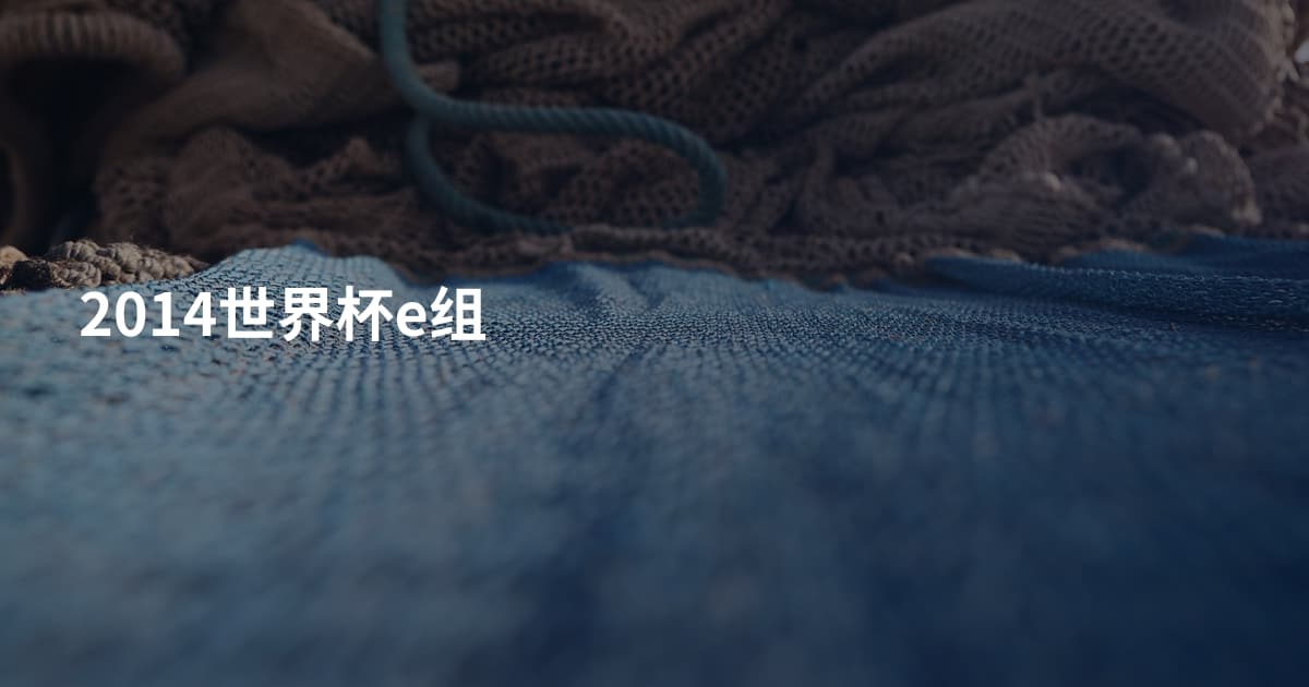 2014世界杯e组