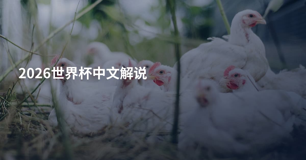 2026世界杯中文解说