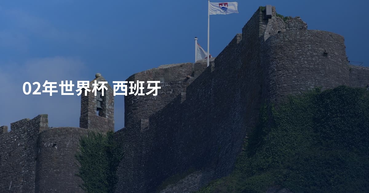 02年世界杯 西班牙