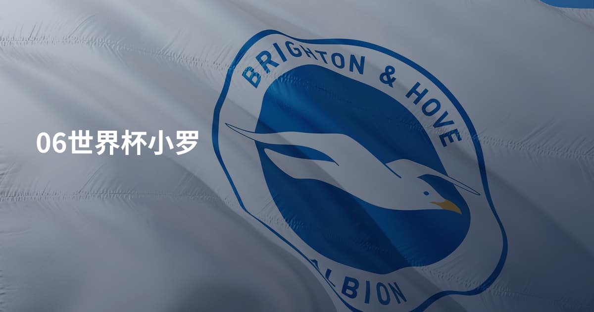 06世界杯小罗