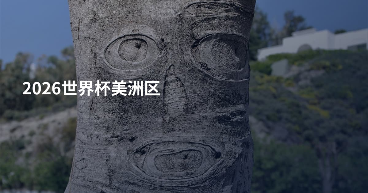 2026世界杯美洲区